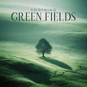 Soothing Green Fields - Yanan Time