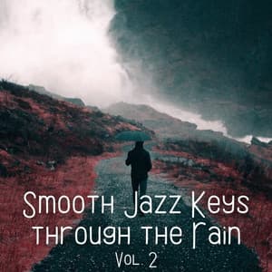 Smooth Jazz Keys through the Rain Vol. 2 - Nature Radio 1