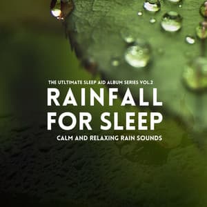 Calm and Relaxing Rain Sounds - Rainfall For Sleep