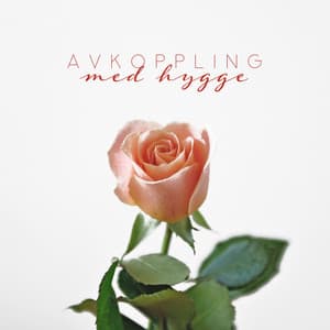 Avkoppling med hygge: Lugnande ljud för din komfortzon, Inre balans, Daglig harmoni - Lugn Spa Akademi