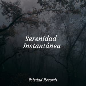 Serenidad Instantánea - Natureza Musica Bem-Estar Academia