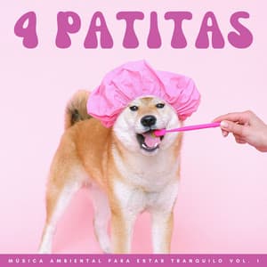 4 Patitas: Música Ambiental Para Estar Tranquilo Vol. 1 - Serenidad Academy