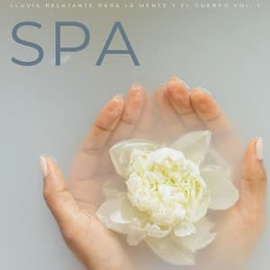 Spa: Lluvia Relajante Para La Mente Y El Cuerpo Vol. 1 - Sonidos de lluvia y sonidos de la naturaleza