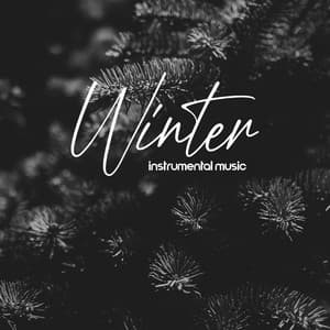 Winter Instrumental Music - Klemens Wichrowski