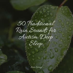 50 Traditional Rain Sounds for Autism Deep Sleep - Rest & Relax Nature Sounds