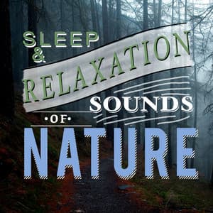 Sleep and Relaxation Sounds of Nature - Sounds of Nature Relaxation