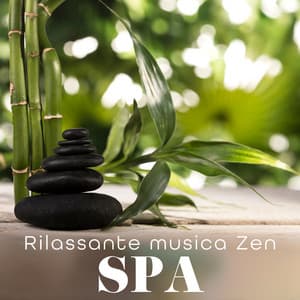 Rilassante musica Zen: Spa, Benessere, Cura del corpo e della mente, Musica termale - Meditazione zen musica