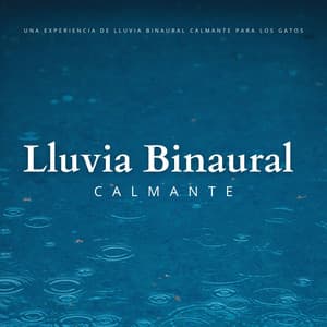 Una Experiencia De Lluvia Binaural Calmante Para Los Gatos - Astro laboratorio binaural