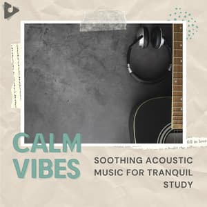 Soothing Acoustic Music for Tranquil Study - Calm Vibes