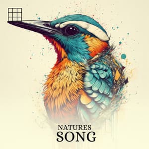 #01 Natures Song - Bird Sounds