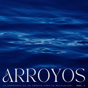 Arroyos: La Corriente De Un Arroyo Para La Relajación Vol. 1 - Camino del agua
