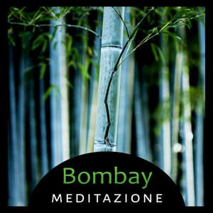 Bombay meditazione - Raccolta di musica orientale, Rilassanti suoni della natura, Energia di meditazione della guarigione - Meditazione guidata universo