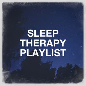Sleep Therapy Playlist - Oasis de Détente et Relaxation