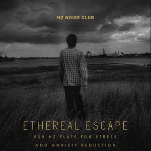 Ethereal Escape: 528 Hz Flute for Stress and Anxiety Reduction - Hz Noise Club