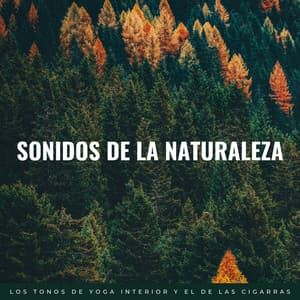 Sonidos De La Naturaleza: Los Tonos De Yoga Interior Y El De Las Cigarras - Ruido y Naturaleza