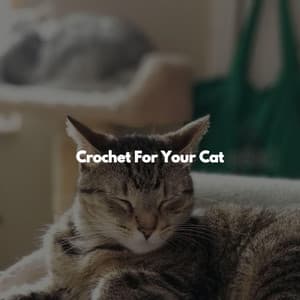 Crochet For Your Cat - Elevator Background Music Sensation