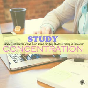 Study Concentration: Focus, Brain Power, Studying Music, Memory & Relaxation - Study Concentration