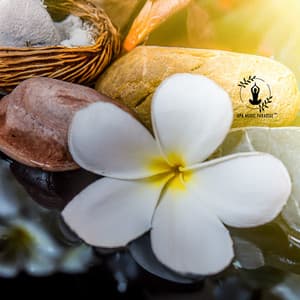 Hawaiian Moana - Spa Music Paradise