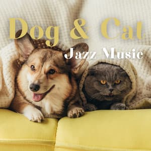 Dog & Cat Jazz Music - Jazz Pets Relax
