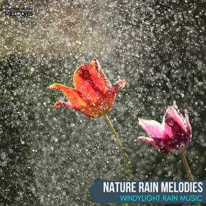 Nature Rain Melodies - WindyLight Rain Music - The Rain Library
