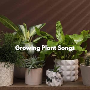 Growing Plant Songs - Lounge Music for Restaurants