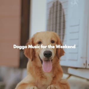 Doggo Music for the Weekend - Dog Music Radio
