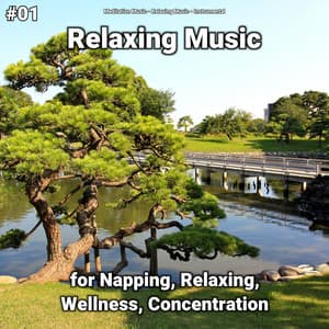 #01 Relaxing Music for Napping, Relaxing, Wellness, Concentration - Relaxing music