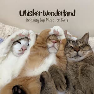 Whisker Wonderland: Relaxing Lofi Music for Cats - LOFI RADIO
