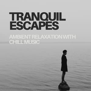 Tranquil Escapes: Ambient Relaxation with Chill Music - Silkroad