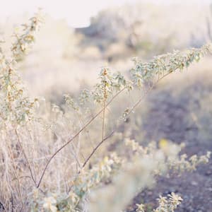 Relaxation Sounds | Meditation - Sounds of Nature Noise