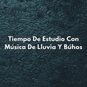Tiempo De Estudio Con Música De Lluvia Y Búhos - HD lluvia y agua