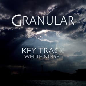 Key Track White Noise - Granular