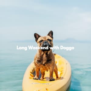 Long Weekend with Doggo - Elevator Jazz Music