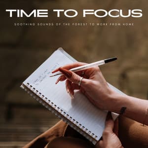 Time To Focus: Soothing Sounds Of The Forest To Work From Home - Upbeat Morning Music