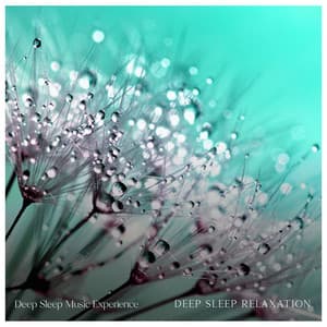 Deep Sleep Relaxation - Deep Sleep Music Experience