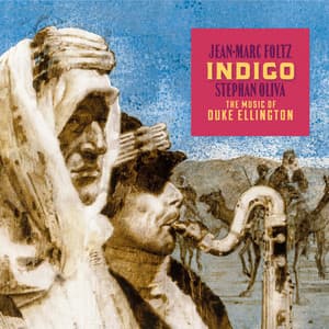 Indigo - Jean-Marc Foltz