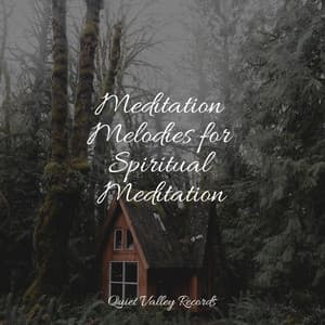 Meditation Melodies for Spiritual Meditation - Academia de Relaxamento e Meditação
