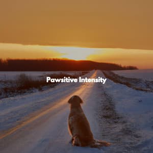 Pawsitive Intensity - Chill Jazz Vibes