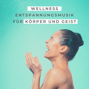 Wellness Entspannungsmusik für Körper und Geist - Meister der Schlaflieder
