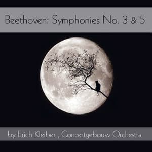 Beethoven: Symphonies Nos. 3 & 5 - Royal Concertgebouw Orchestra