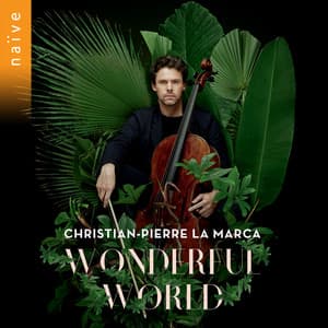Wonderful World - Christian-Pierre La Marca