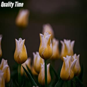 Quality Time - Soft Music Playlisted