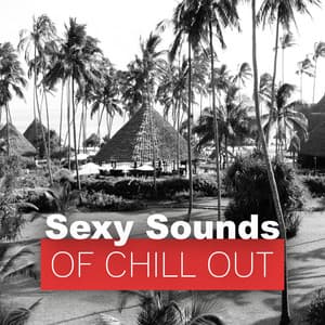 Sexy Sounds of Chill Out – Sexy Chillout Music for Beach Party, Sensual Steps, Just Breathe, Dreamcatcher, Born to Chill, Erotic Lounge - Total Chill Out Empire