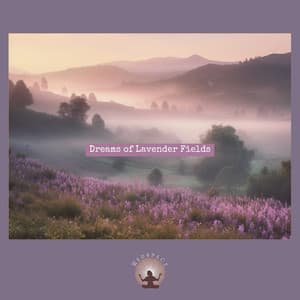 Dreams of Lavender Fields - Medspace