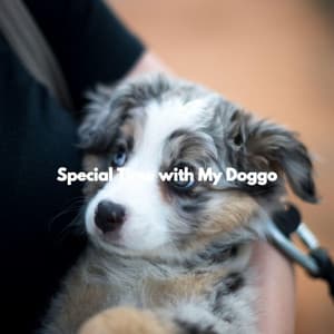 Special Time with My Doggo - Smooth Jazz Deluxe