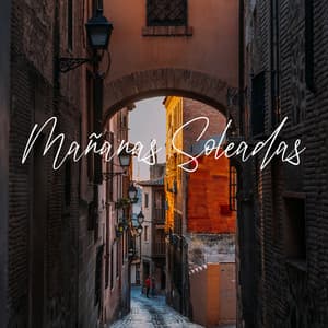 Mañanas Soleadas - Paraíso Jazz Verano