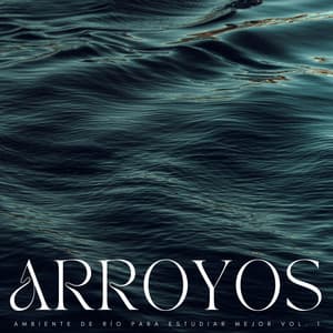 Arroyos: Ambiente De Río Para Estudiar Mejor Vol. 1 - Sonidos del río