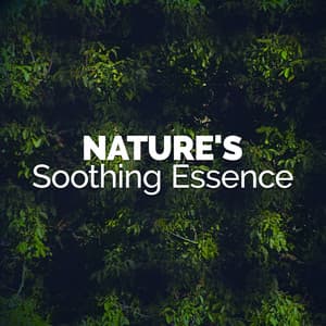 Nature's Soothing Essence - Deep Sleep Nature Sounds
