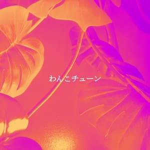 わんこチューン - Bossa Nova Brazil