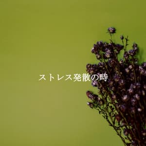 ストレス発散の時 - Spanish Coffee Shop Music